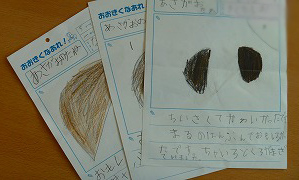 ５月２２日 水 Dear あさがお Ndダイアリー ノートルダム学院小学校 13年度アーカイブ