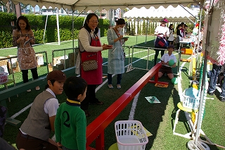 IMGP9875