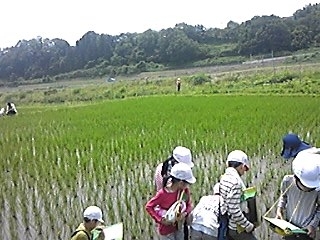 SBSH0005