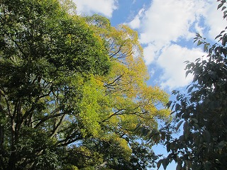 IMG_3633
