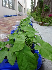 DSC02438