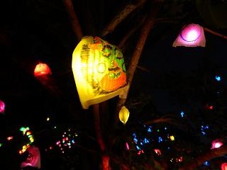 DSCN3552