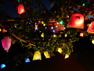 DSCN3553