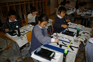 IMGP3526