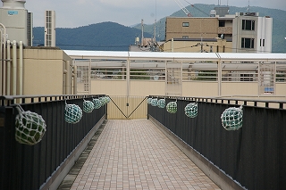 IMGP7756
