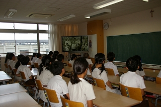 IMGP7807