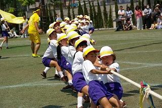 10IMGP3126