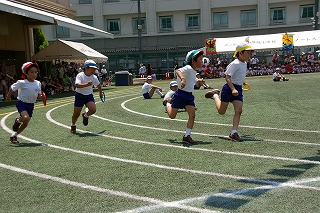11IMGP3165