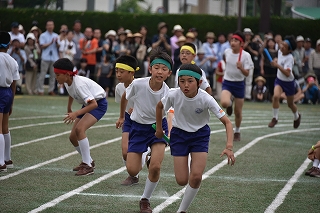 19DSC_3309