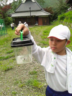 2016061411250001