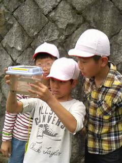 2016062011290001
