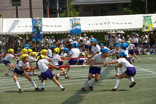 3IMGP2607