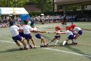 3IMGP2628