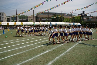 5IMGP2708