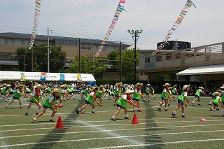 7IMGP2825
