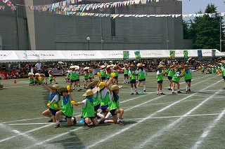 7IMGP2846