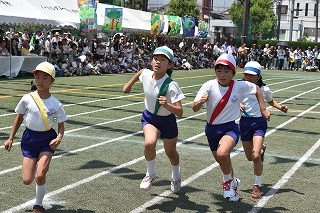 8DSC_1639