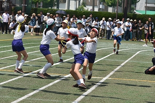 8DSC_1646
