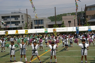 9IMGP3010