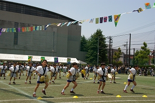 9IMGP3049