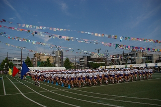 IMGP2411