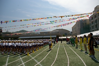IMGP2454