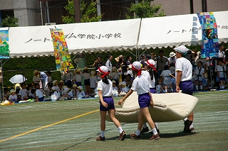 IMGP3188