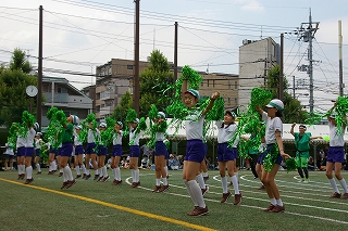 IMGP3317