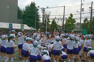 IMGP3389r