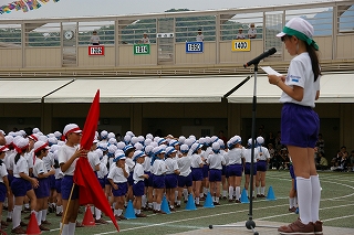 IMGP3937