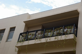IMGP5832