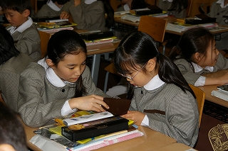 IMGP6946