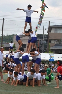 m-DSC_3094r