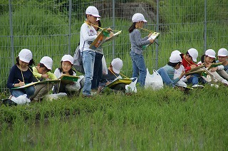 今週のノートルダム 6 15 Vol 1 4年生山の家合宿 R13 R14 更新しました 今週のノートルダム ノートルダム学院小学校