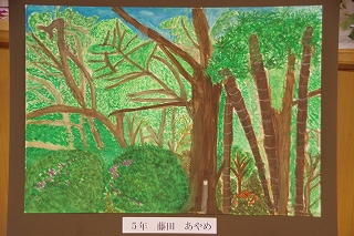 IMGP3079