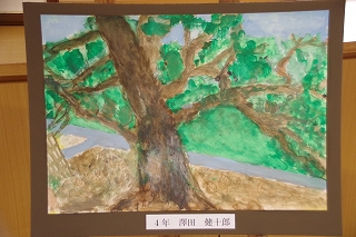 IMGP3084
