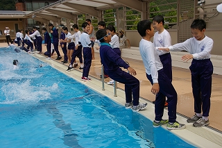 IMGP8088