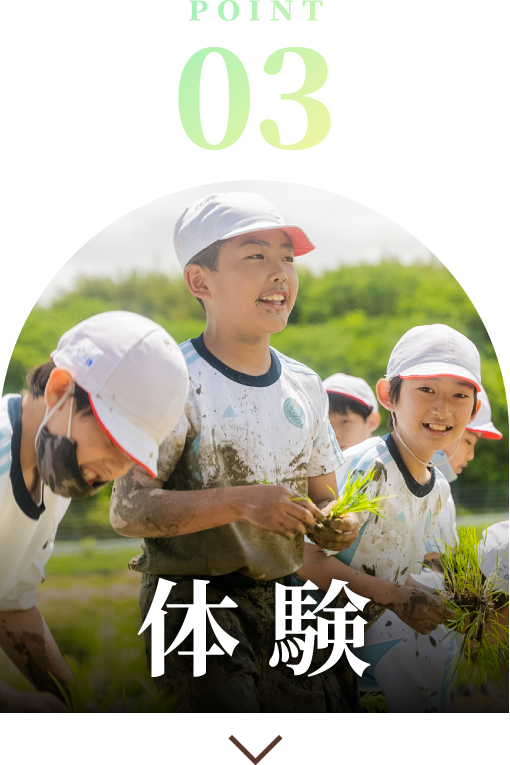 教育の特色の3つ目「体験」へのリンクボタン