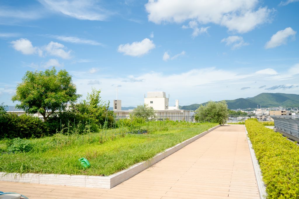 屋上